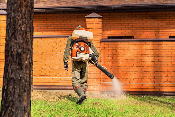Trusted Cockroach Control service in Pitman, NJ - Nex Pest Control